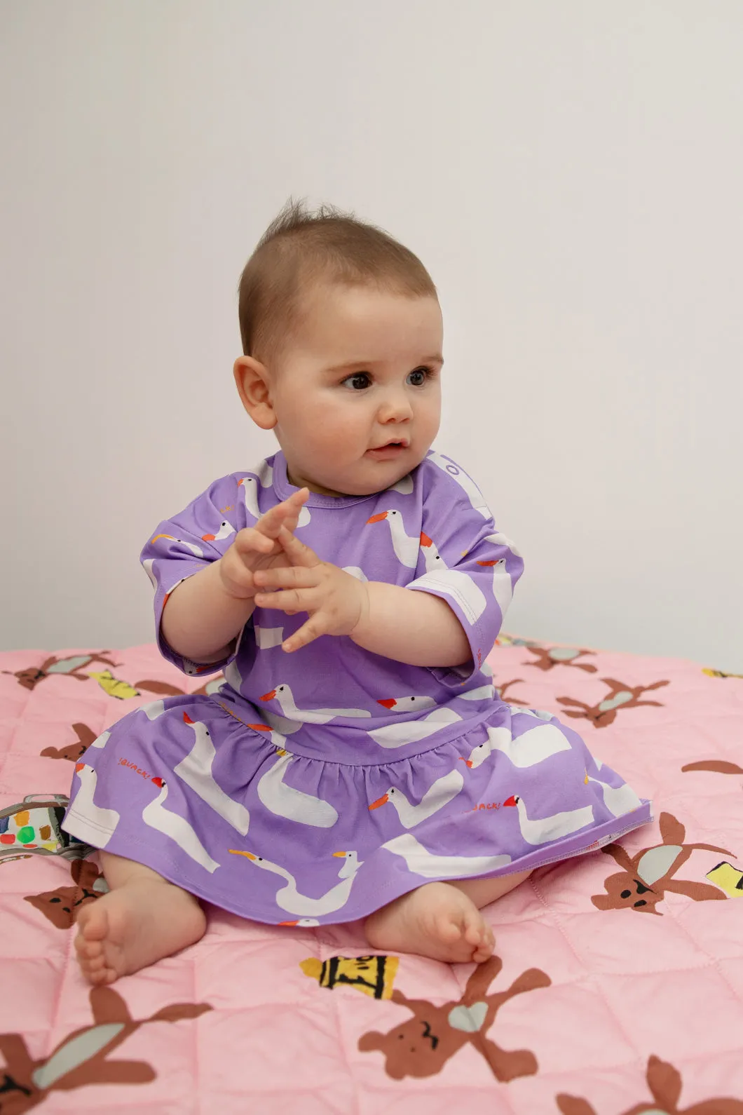 Duck Duck Goose Baby Dress