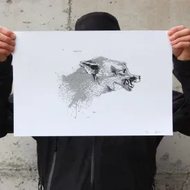 Grey Fox (White or Brown) Art Print