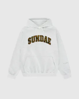 Heather Grey Chenille Arch Hoodie
