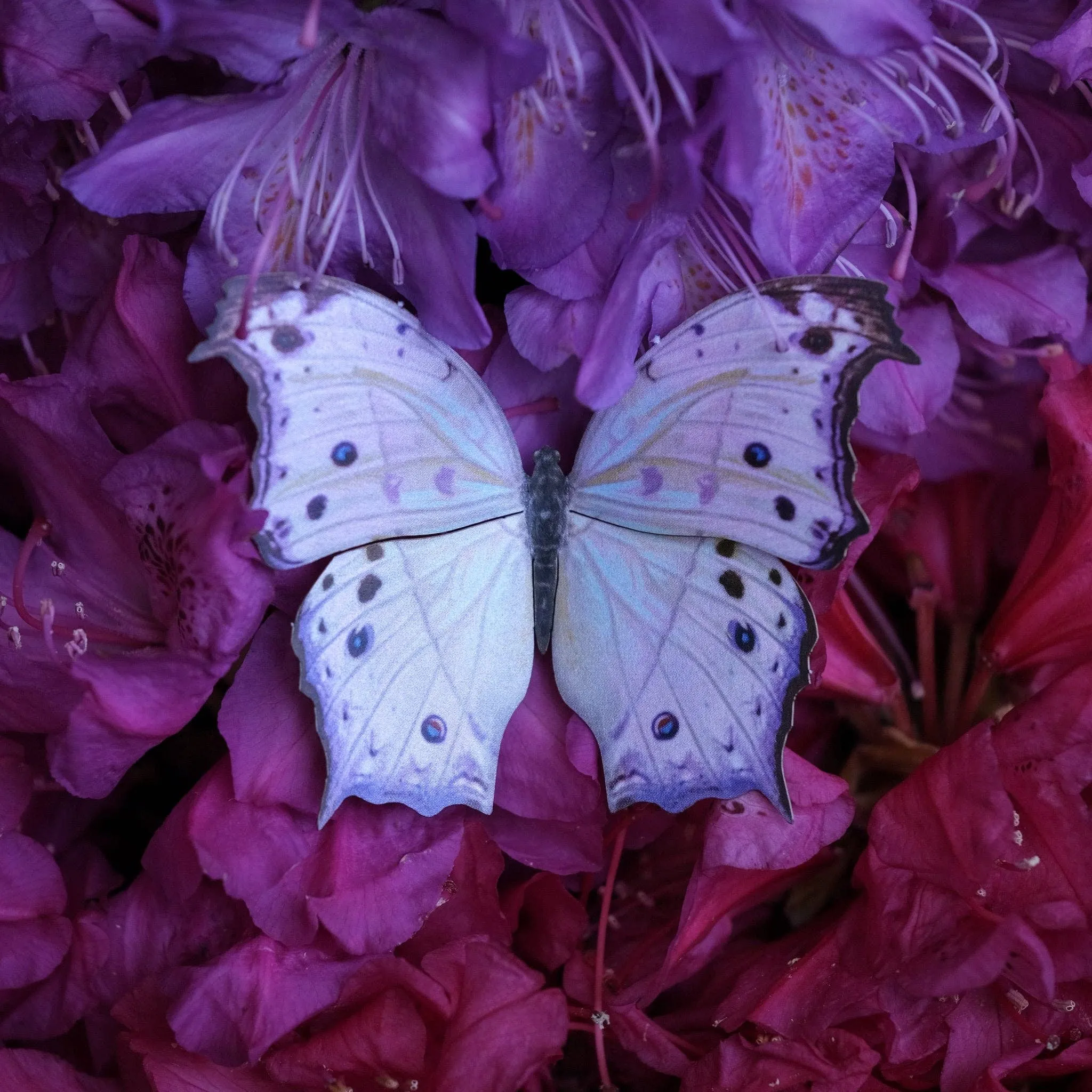Optimized Moth Hyacinth Set for E-Commerce