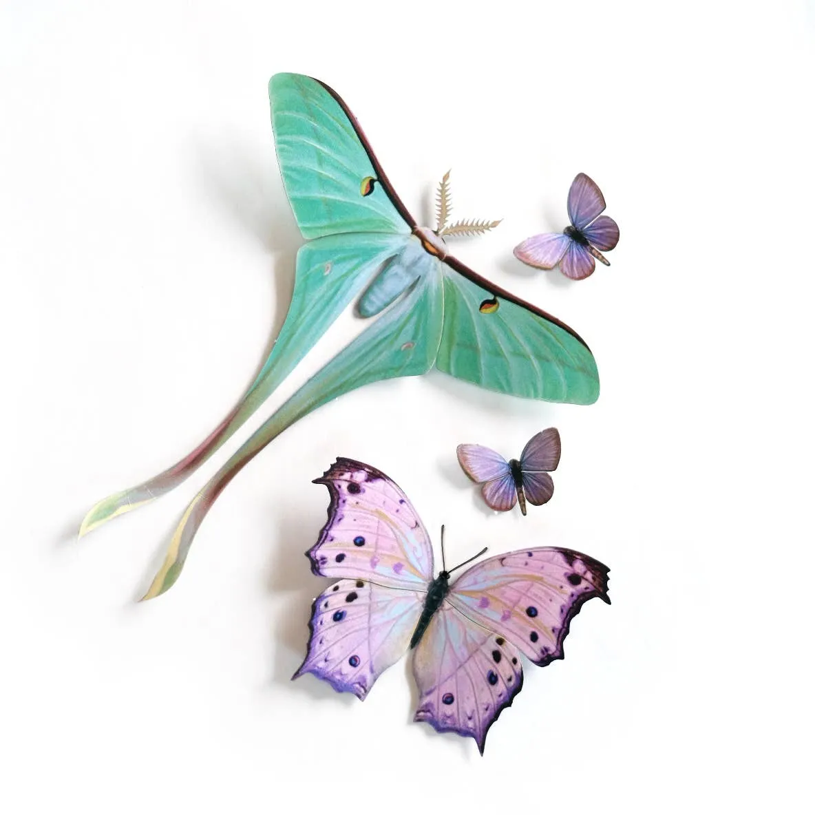 Optimized Moth Hyacinth Set for E-Commerce