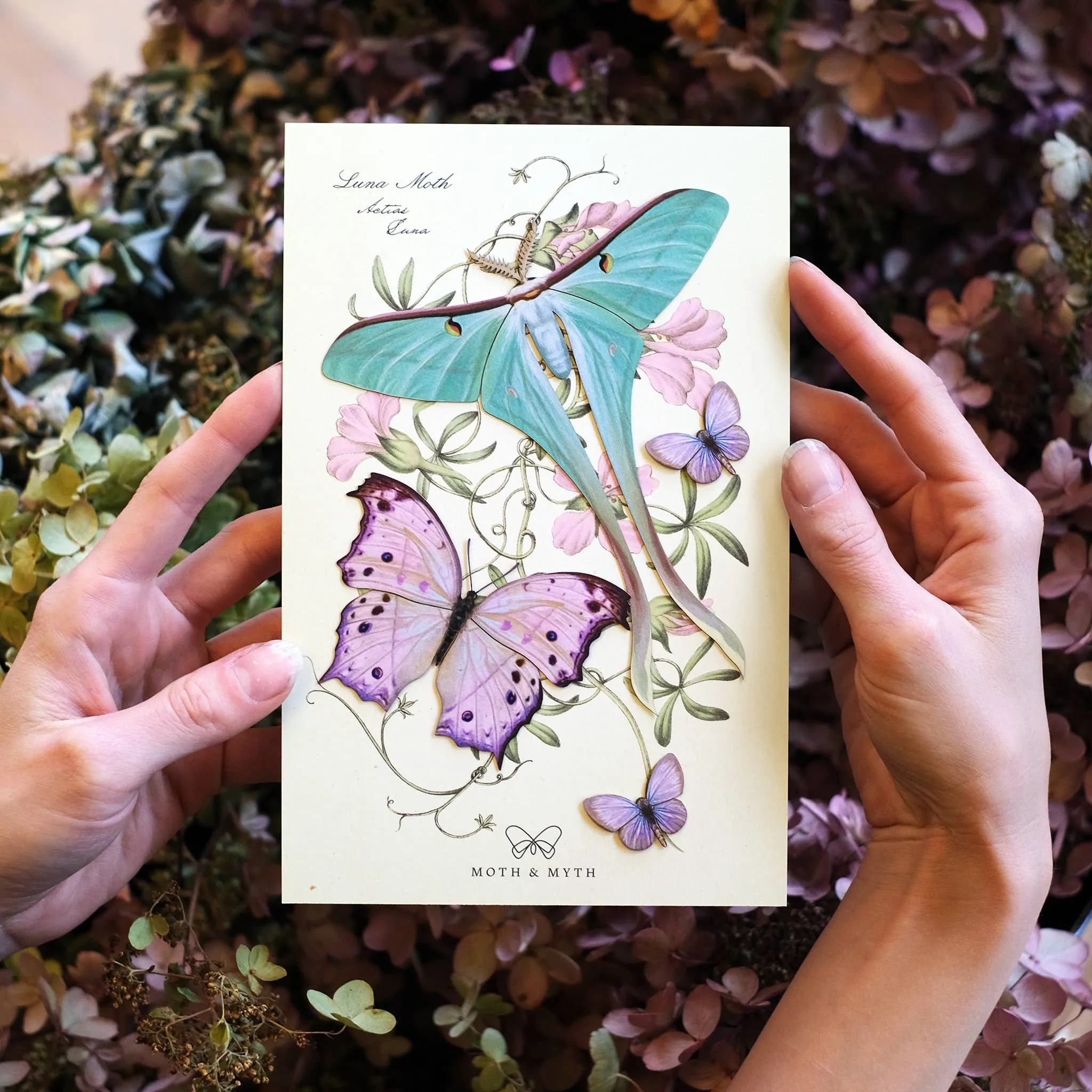 Optimized Moth Hyacinth Set for E-Commerce