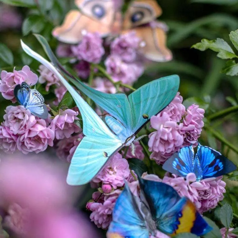 Optimized Moth Hyacinth Set for E-Commerce