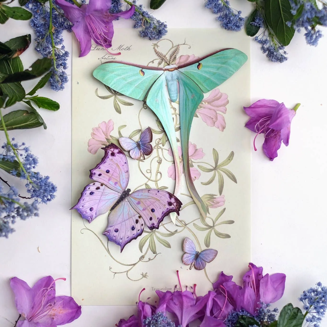 Optimized Moth Hyacinth Set for E-Commerce