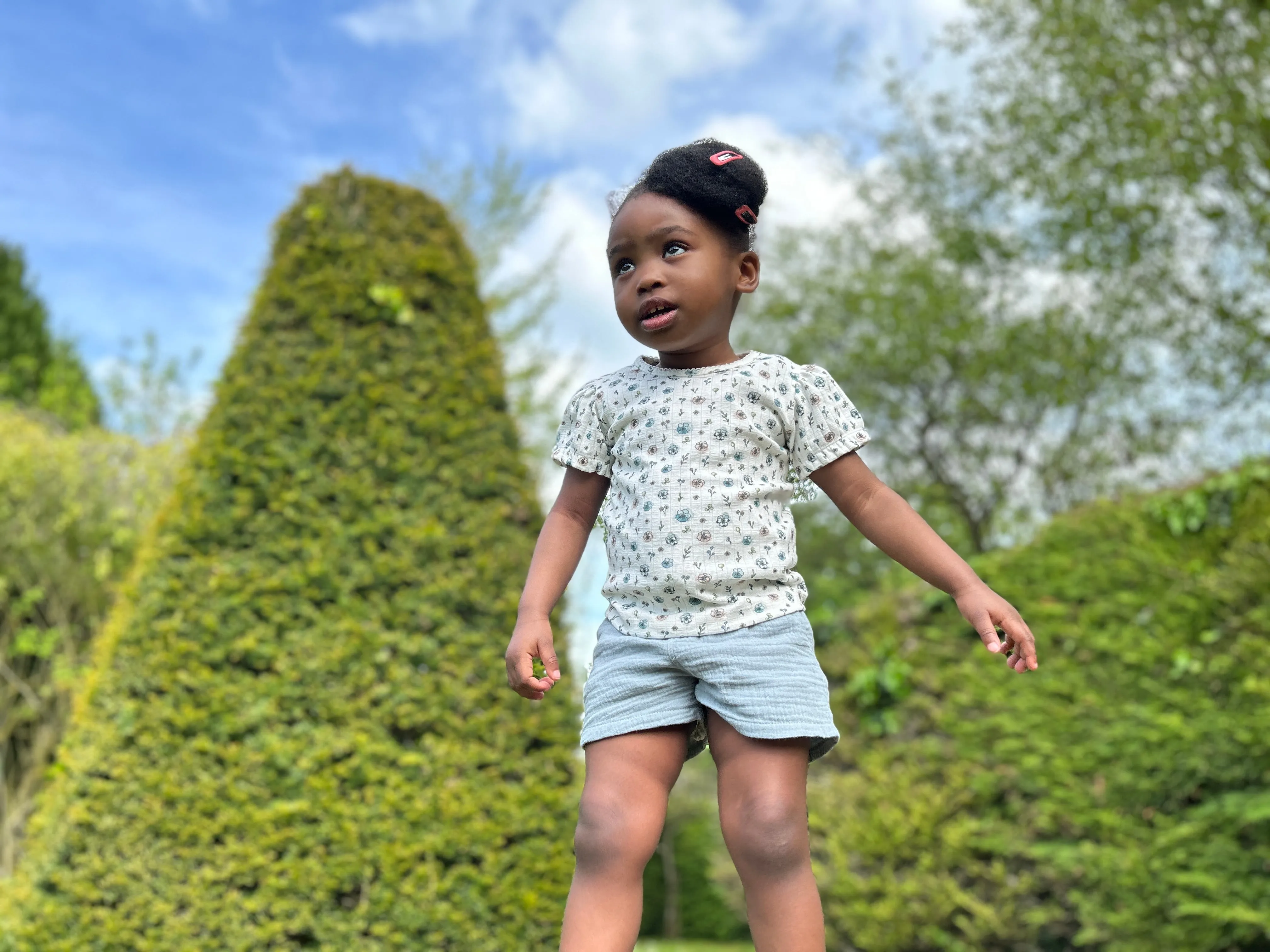 Sadie Tee in White Flowers   Plants