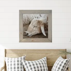 Silent Sheep